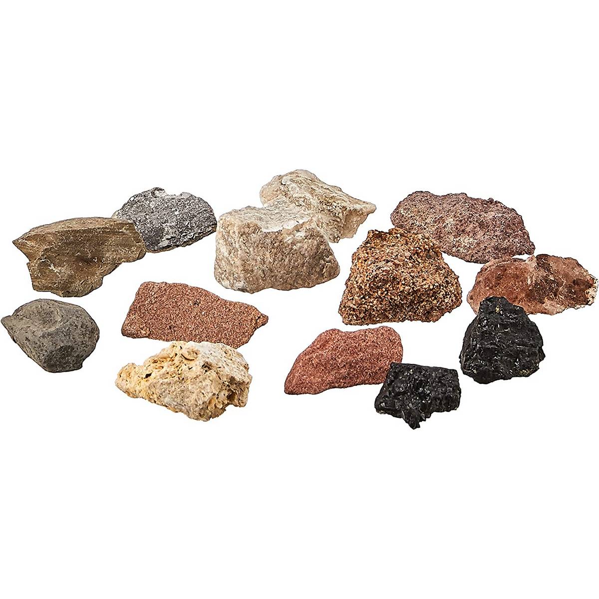 CrossSection Flower Model