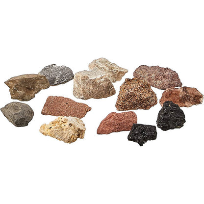 CrossSection Flower Model