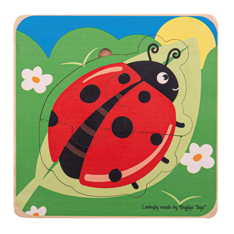 Lifecycle Layer Puzzle - Ladybug