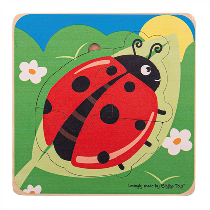 Lifecycle Layer Puzzle - Ladybug