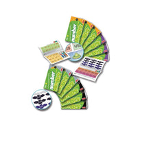 Stile Counting And Understanding Numbers 7-12