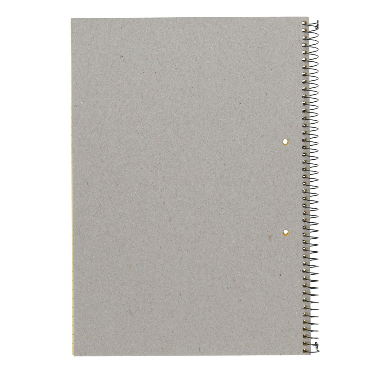 Student Solutions A4 160Pg Visual Memory Aid Spiral - Yellow