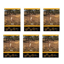 Speld Sa Phonic Books - Set 2 - Classpack (60 Titles)