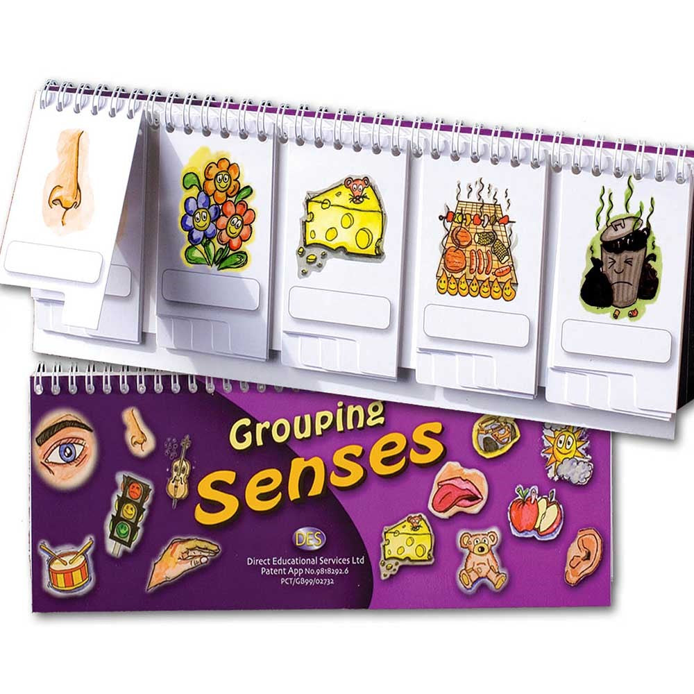 **Grouping Senses flip book