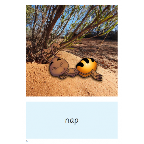 Speld Sa Phonic Books - Set 1 - Classpack (60 Titles)