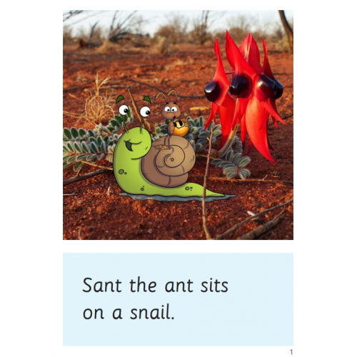 Speld Sa Phonic Books - Set 4 - (10 Titles)