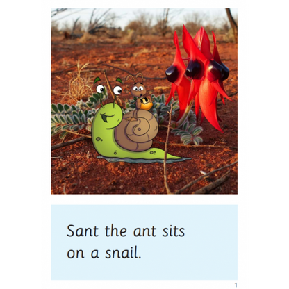 Speld Sa Phonic Books - Set 4 - (10 Titles)