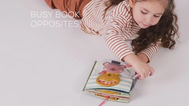 Taf Toys Fantasy Busy Book - Opposites