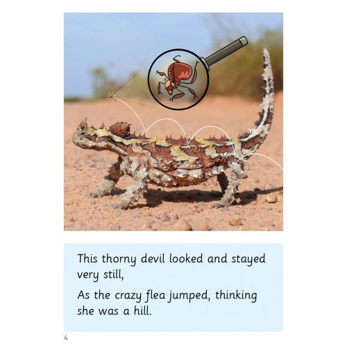 Speld Sa Phonic Books - Set 9 - Classpack (60 Titles)