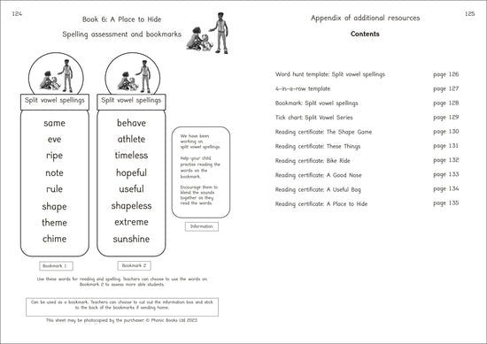 Dandelion Moon Dogs Split Vowel Spellings Workbook