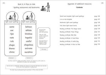 Dandelion Moon Dogs Split Vowel Spellings Workbook