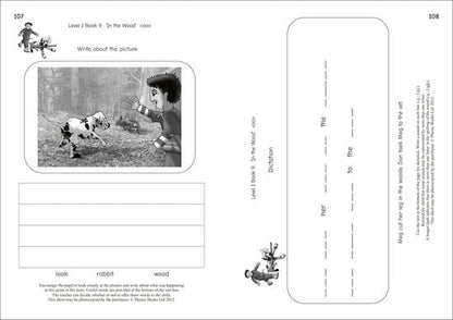 Dandelion Readers, Reading And Spelling Activities Level 1