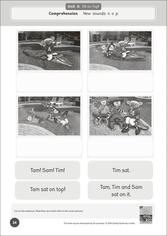 Dandelion Readers Set 4 Units 1-10 Workbook