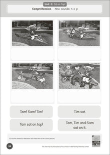 Dandelion Readers Set 4 Units 1-10 Workbook