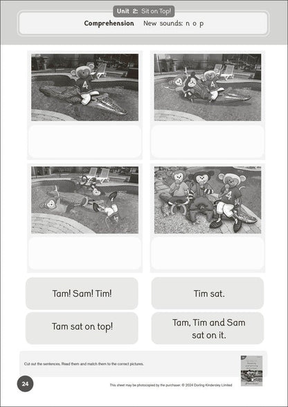 Dandelion Readers Set 4 Units 1-10 Workbook