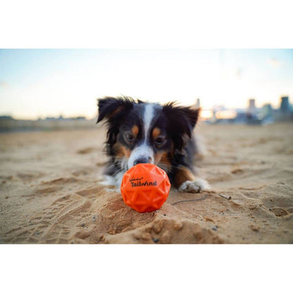 Waboba Tailwind Dog Ball