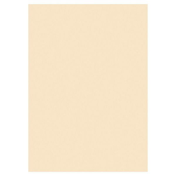 A4 Ivory Card 160gsm (Pack of 250 sheets) - ABC School Supplies