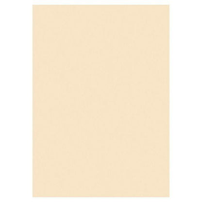 A4 Ivory Card 160gsm (Pack of 250 sheets) - ABC School Supplies