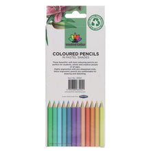 World Of Colour Pastel Colouring Pencils Pack Of 12