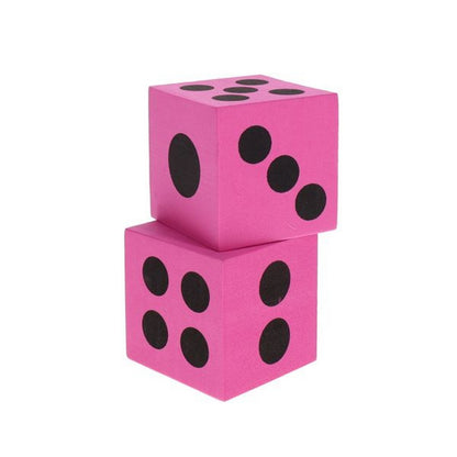 Learn And Play Giant Dice Pack of 2