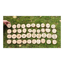 Cosy Subitising And Conservation Number Cookies 40 Piece Set