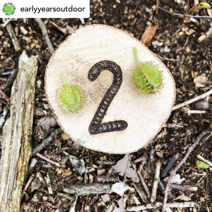 Cosy Number Trail Markers Set Of 20