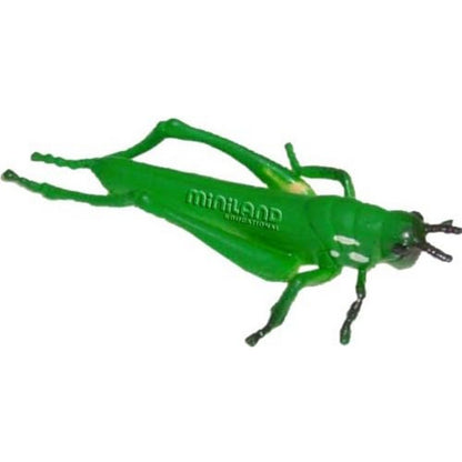 Miniland Insects (12 figures)