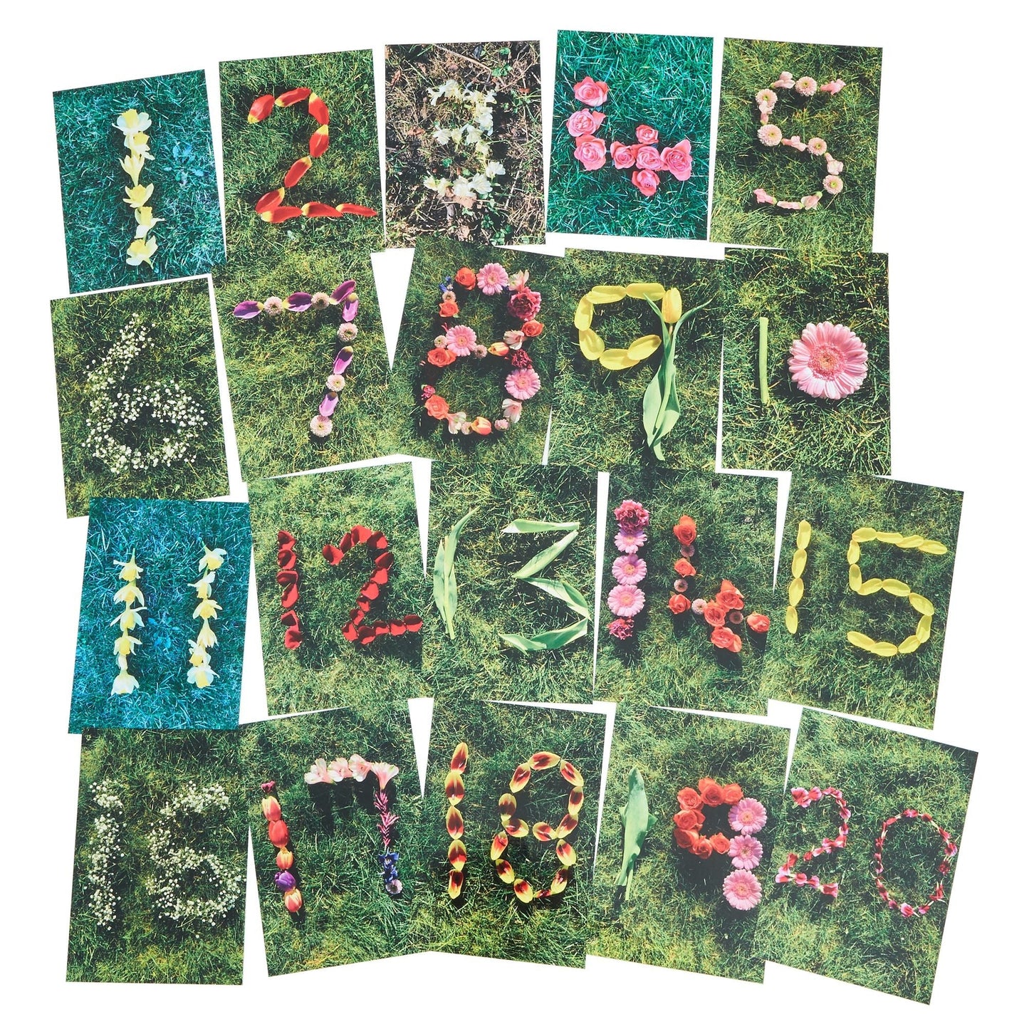 **Natural Spring-summer Number Cards