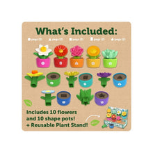 Shape &amp; Colour Garden