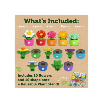 Shape &amp; Colour Garden