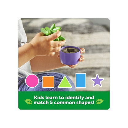 Shape &amp; Colour Garden