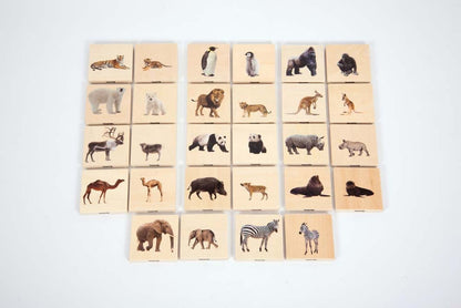 **Wild Animal Family Match Pack of 28