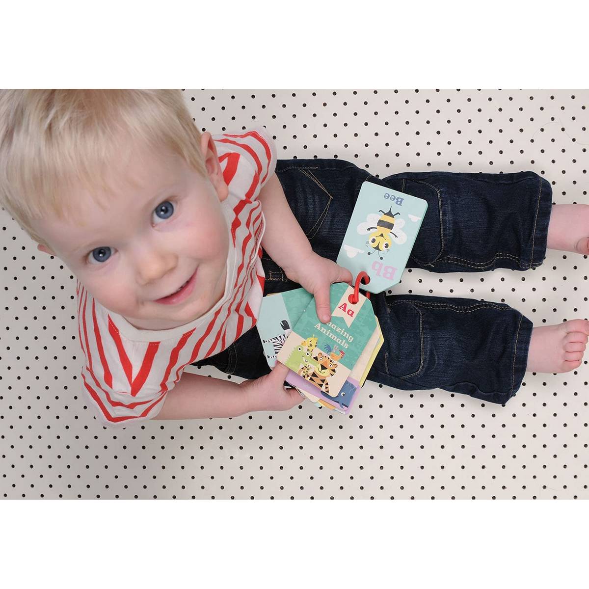 Alphabet Flash Card - Animal Abc - ABC School Supplies