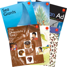**Alphakids Plus Extending Level 20 - ABC School Supplies