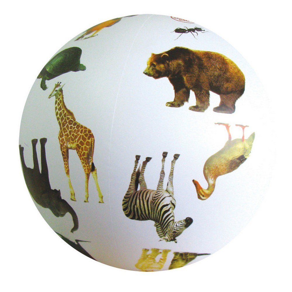 Animal Ball - ABC School Supplies