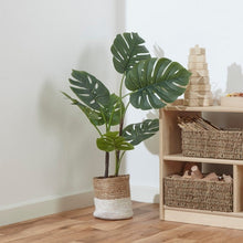 Artificial Cheese Plant 90Classmates - ABC School Supplies