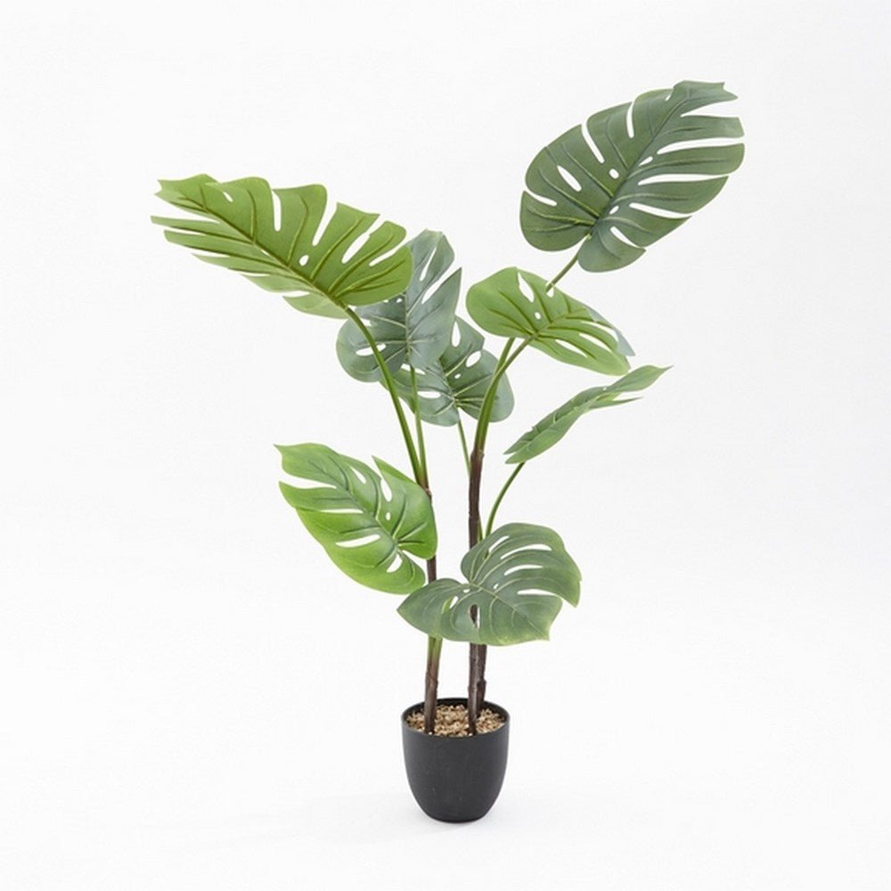 Artificial Cheese Plant 90Classmates - ABC School Supplies