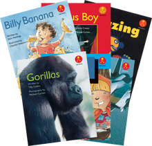 **Alphakids Plus Emergent Level 11