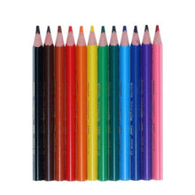 Bic Kids Box 216 Evolution Triangular Colouring Pencils - ABC School Supplies