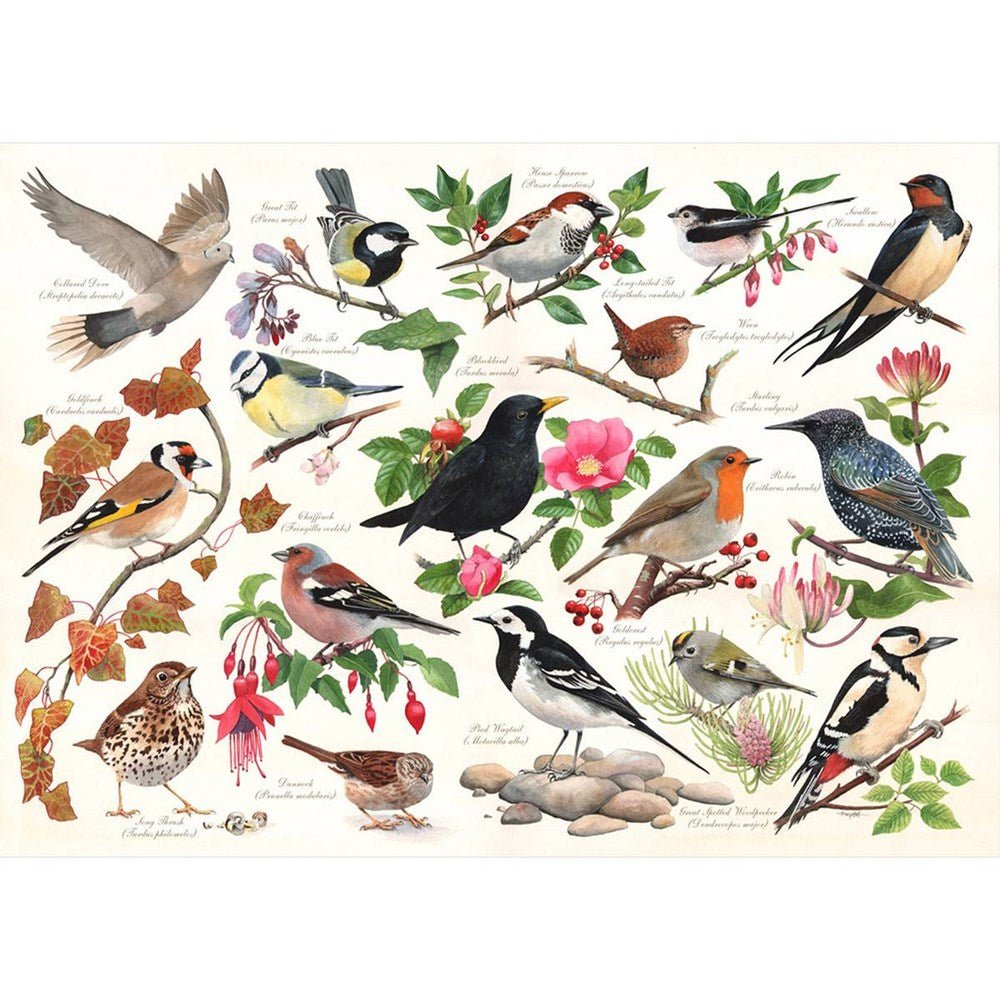 Birds In My Garden - 1000 Piece Jigsaw Puzzle - ABC School Supplies