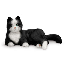Black and White Companion Cat - Joy for All - ABC School Supplies