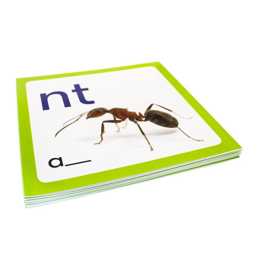 Blends Wall Border - ABC School Supplies