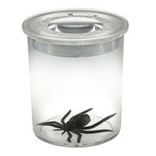 Bug Viewer Standard - ABC School Supplies