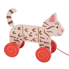 Cat Pull Along - ABC School Supplies