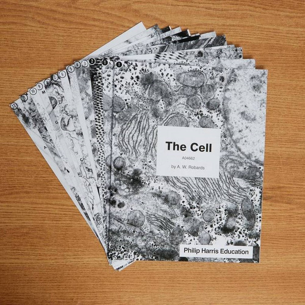 Cell Print Set - ABC School Supplies
