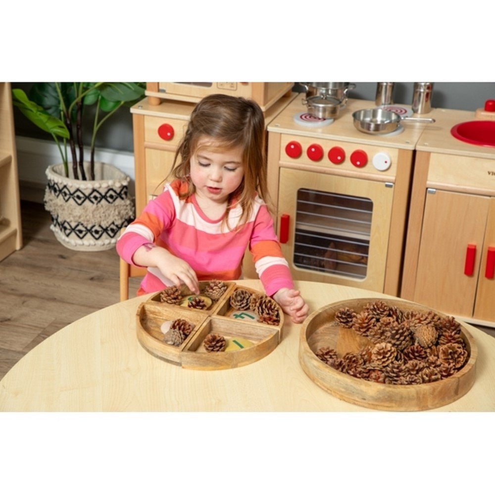 Circular Tray With 4 Sorting Sections - ABC School Supplies