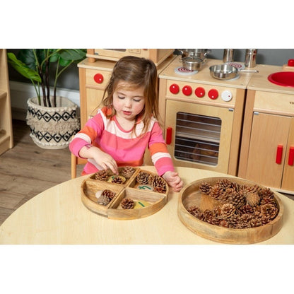 Circular Tray With 4 Sorting Sections - ABC School Supplies