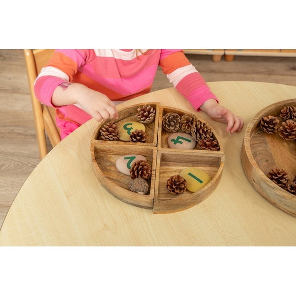 Circular Tray With 4 Sorting Sections - ABC School Supplies
