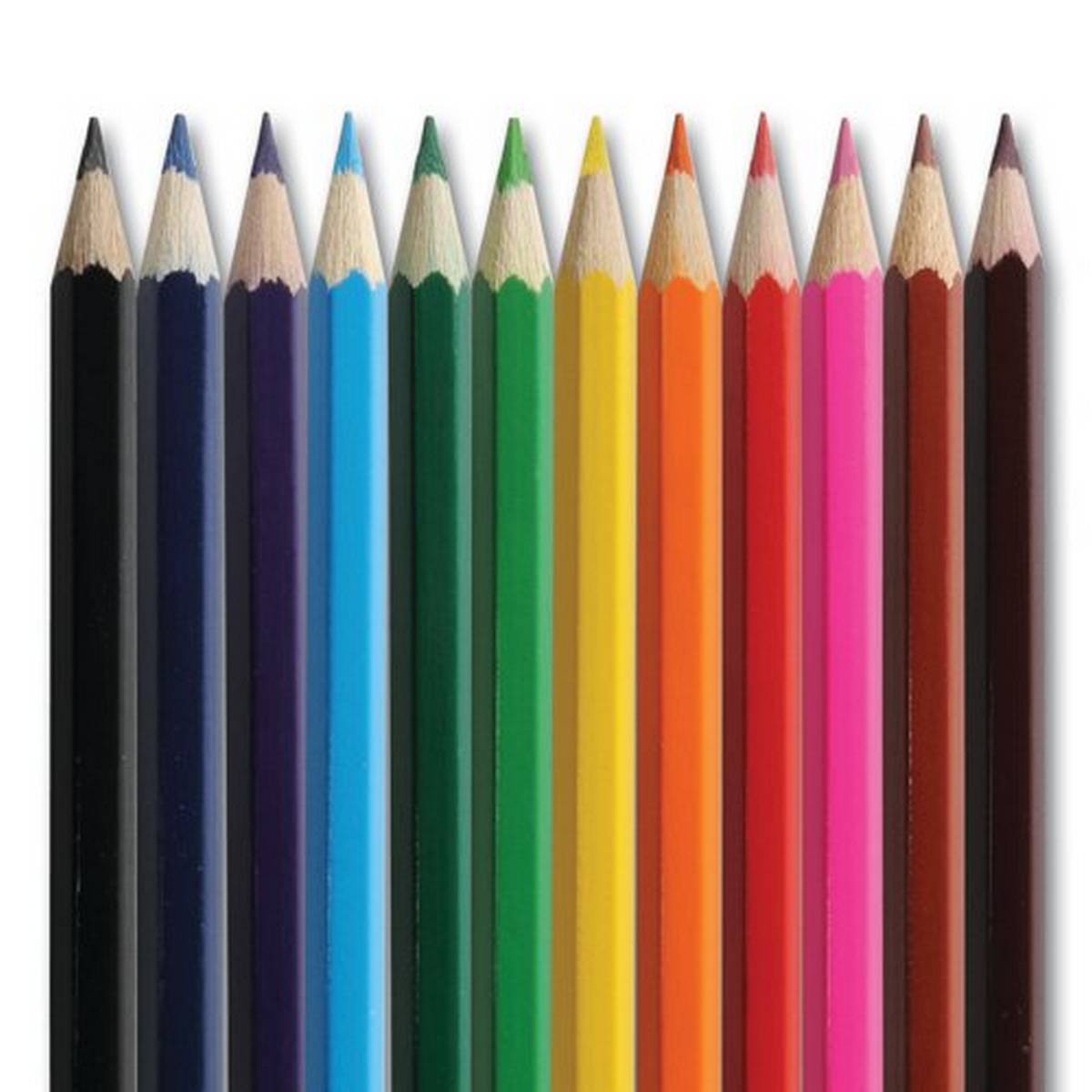 Classmaster Colouring Pencils - Assorted Pack of 144 (12 Colours) - ABC School Supplies