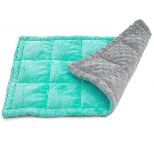 Cleverco Weighted Lap Pad 1.6Kg - ABC School Supplies
